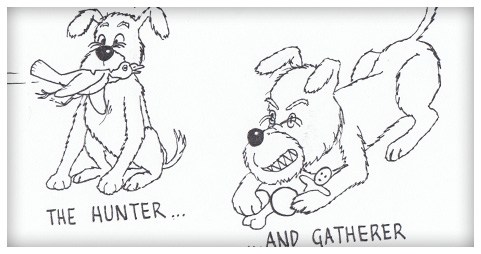 Pet Caricatures Portrait Example